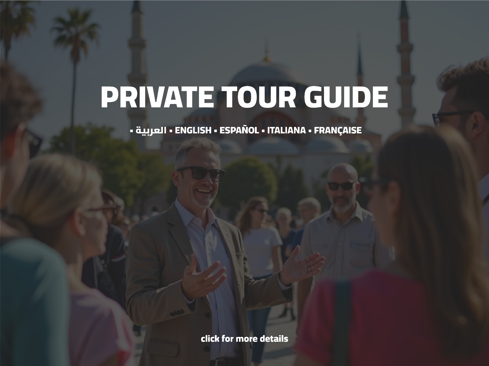 Professional Tour Guide